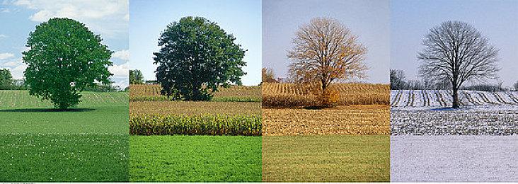 鹰角买断制新作《来自星尘》AppStore页面上线 2月27日推出